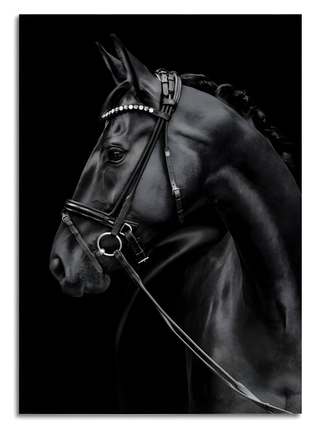 Craftnest creations Black Single Piece Canvas Birds and Animals Wall Paintings