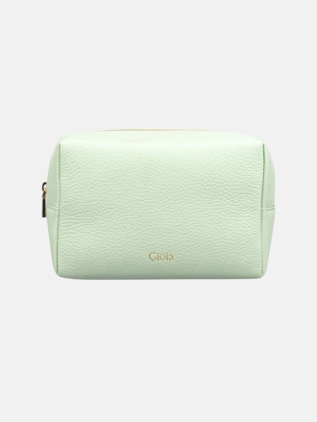 Gioia Light Green Everyday Big Travel Pouch
