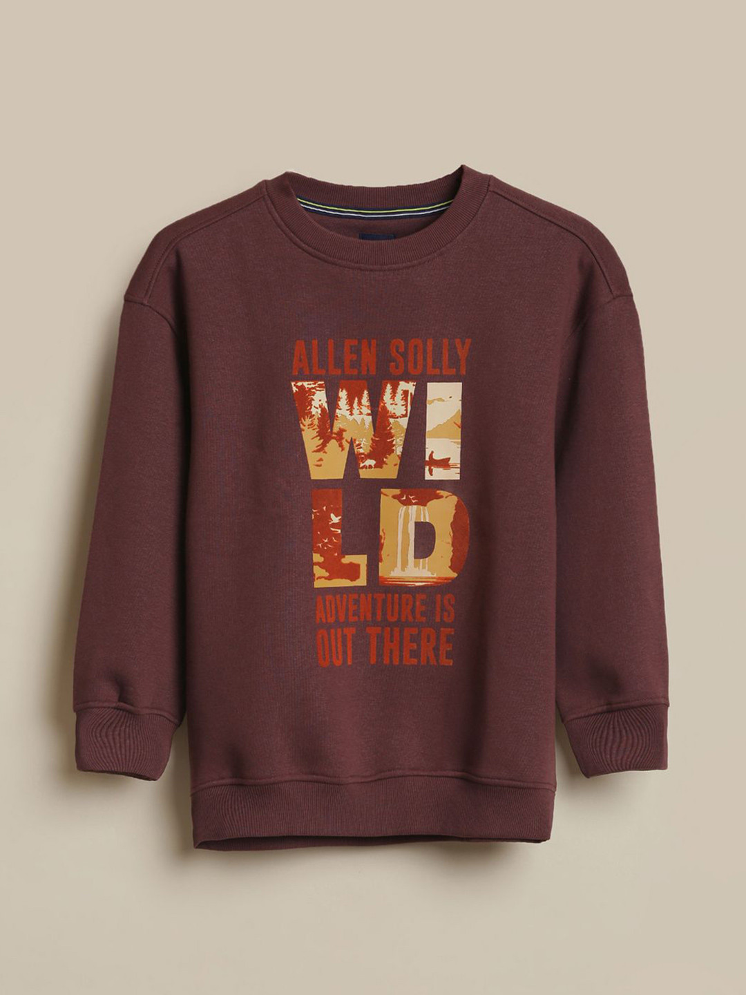 Allen Solly Junior Boys Typography Printed Long Sleeves Sweatshirt