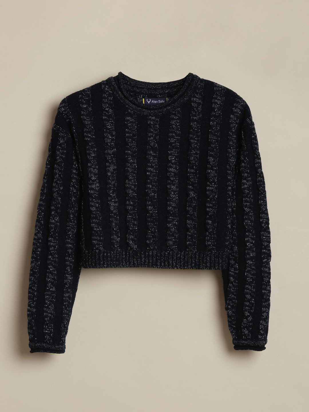 Allen Solly Junior Girls Textured Round Neck Cotton Pullover Sweater