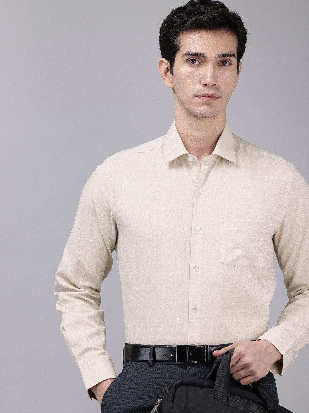Arrow Manhattan Slim Fit Checked Pure Cotton Formal Shirt