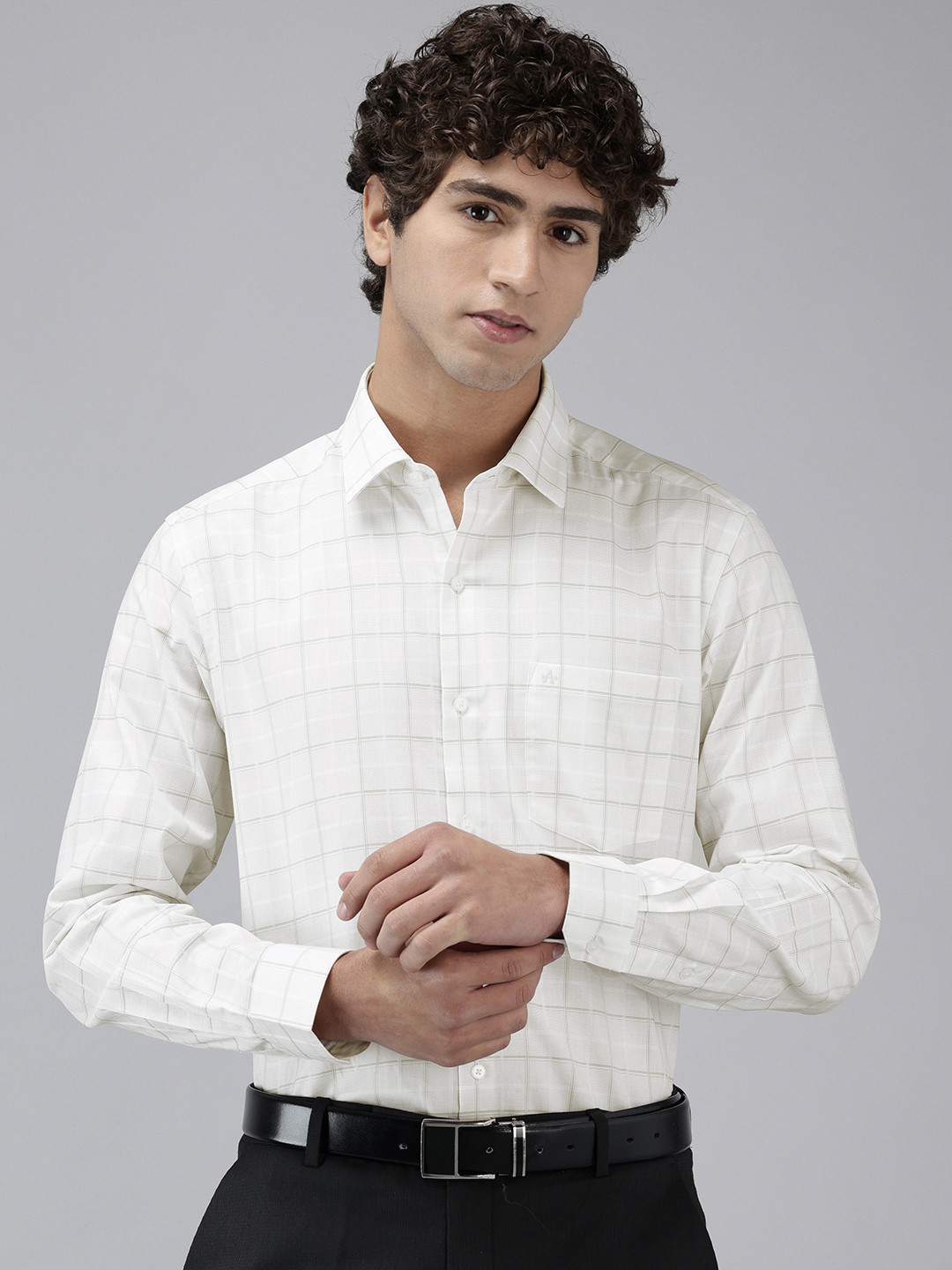 Arrow Manhattan Slim Fit Checked Pure Cotton Formal Shirt