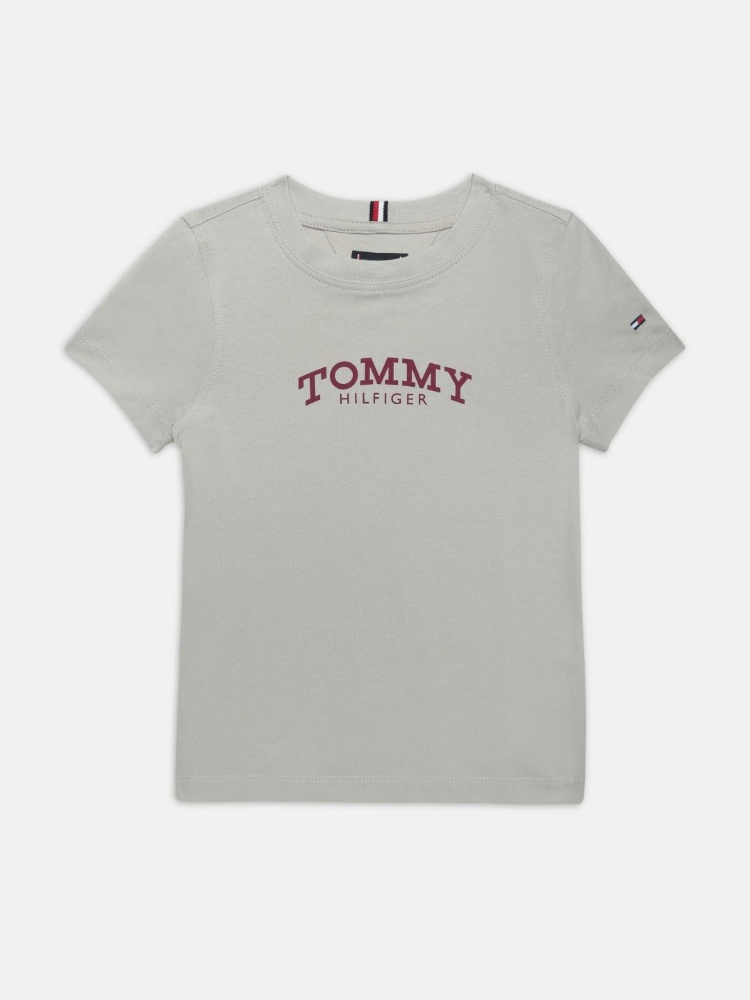Tommy Hilfiger Boys Cotton Tshirts