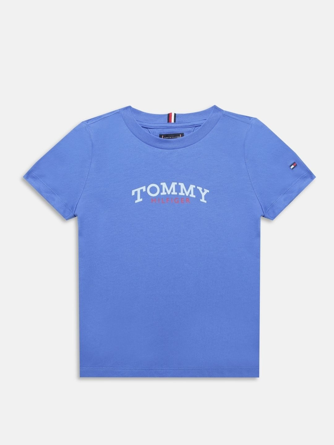 Tommy Hilfiger Boys Cotton Tshirts