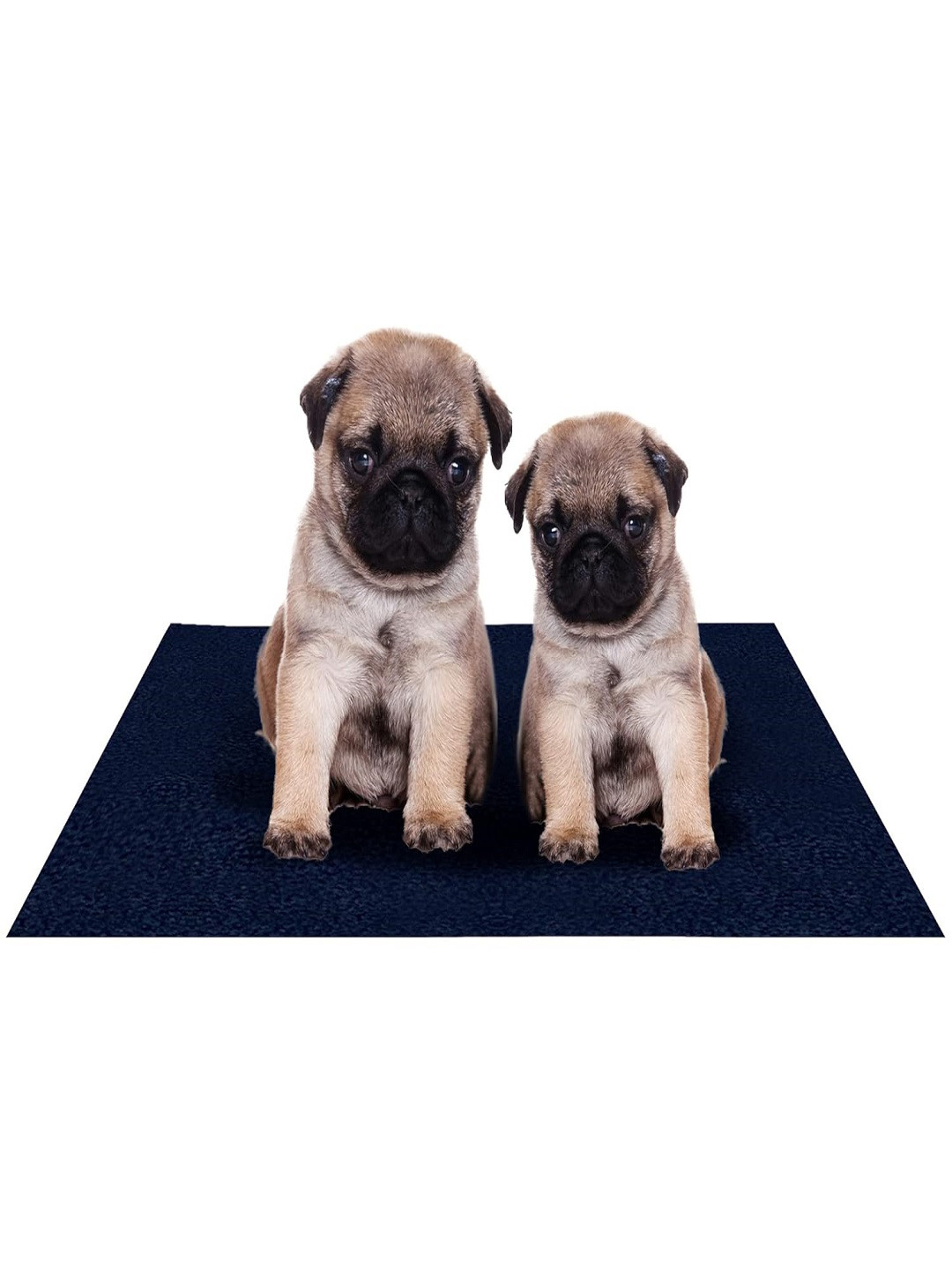 AMORITE Dark Sea Blue Waterproof Washable Pet Mat for Dogs and Cats