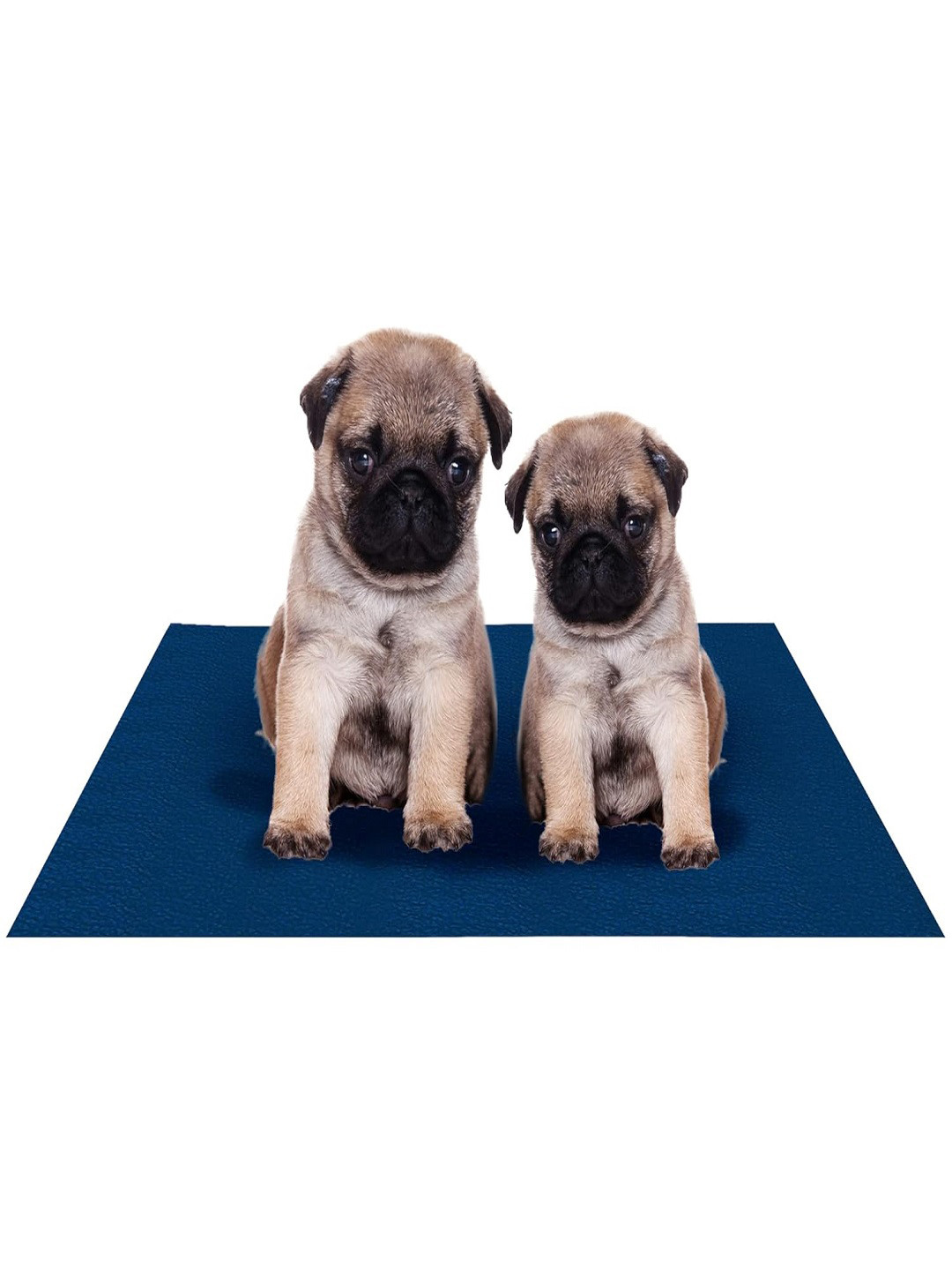AMORITE Dark Sea Blue Waterproof Washable Pet Mat for Dogs and Cats