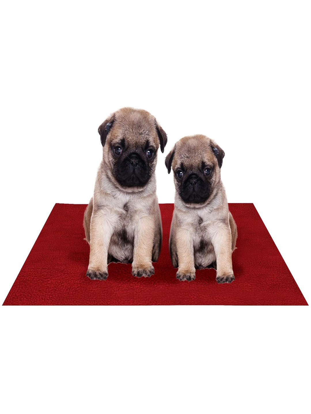AMORITE Maroon Waterproof Washable Pet Mat for Dogs and Cats