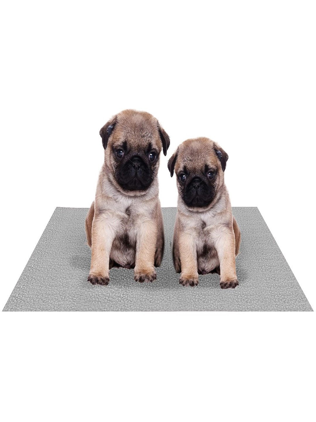 AMORITE Grey Waterproof Washable Pet Mat for Dogs and Cats