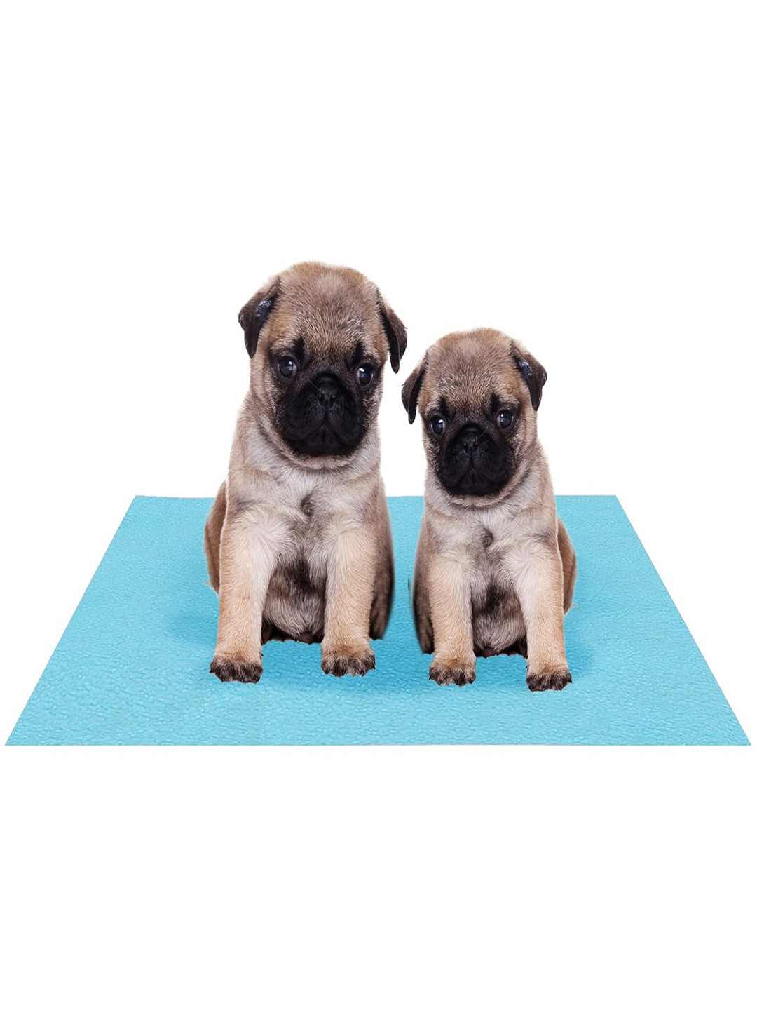 AMORITE Sea Blue Waterproof Washable Pet Mat for Dogs and Cats
