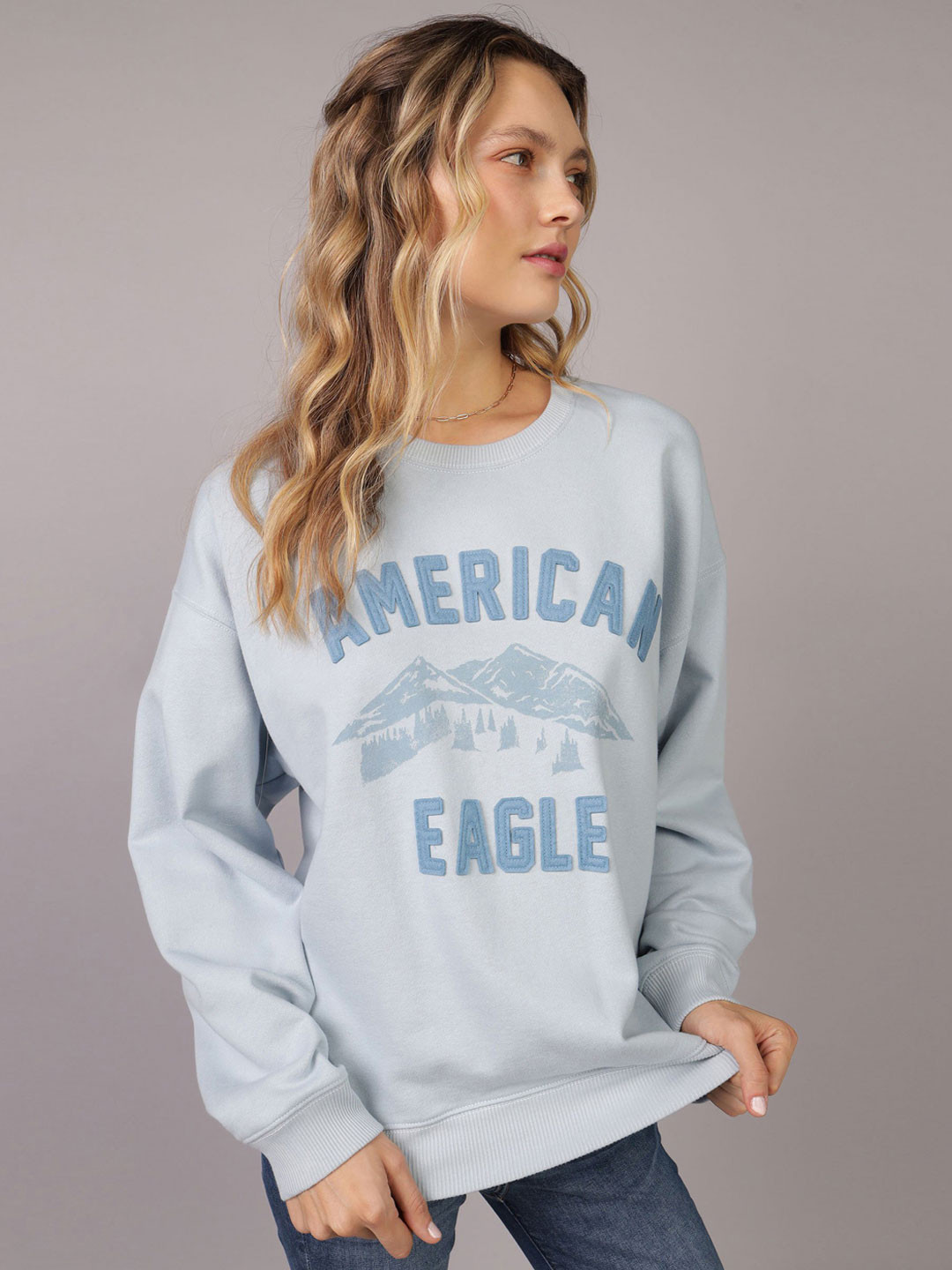 AMERICAN EAGLE OUTFITTERS Women Printed Sweatshirt