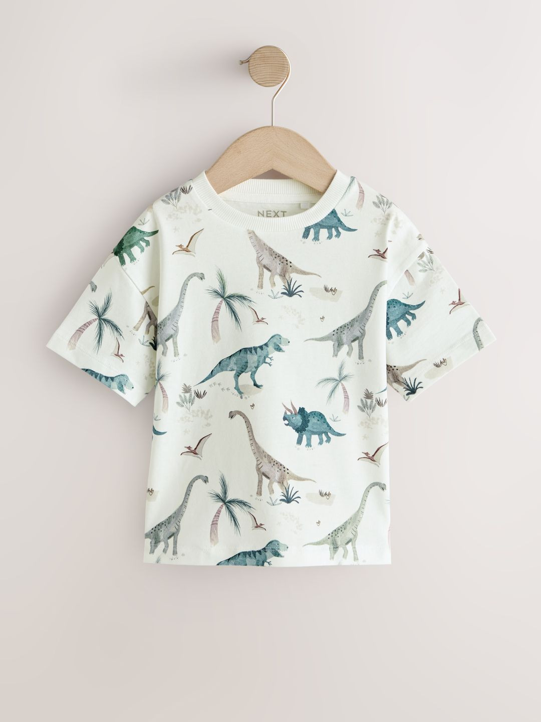 NEXT Boys Graphic Printed Pure Cotton T-Shirt