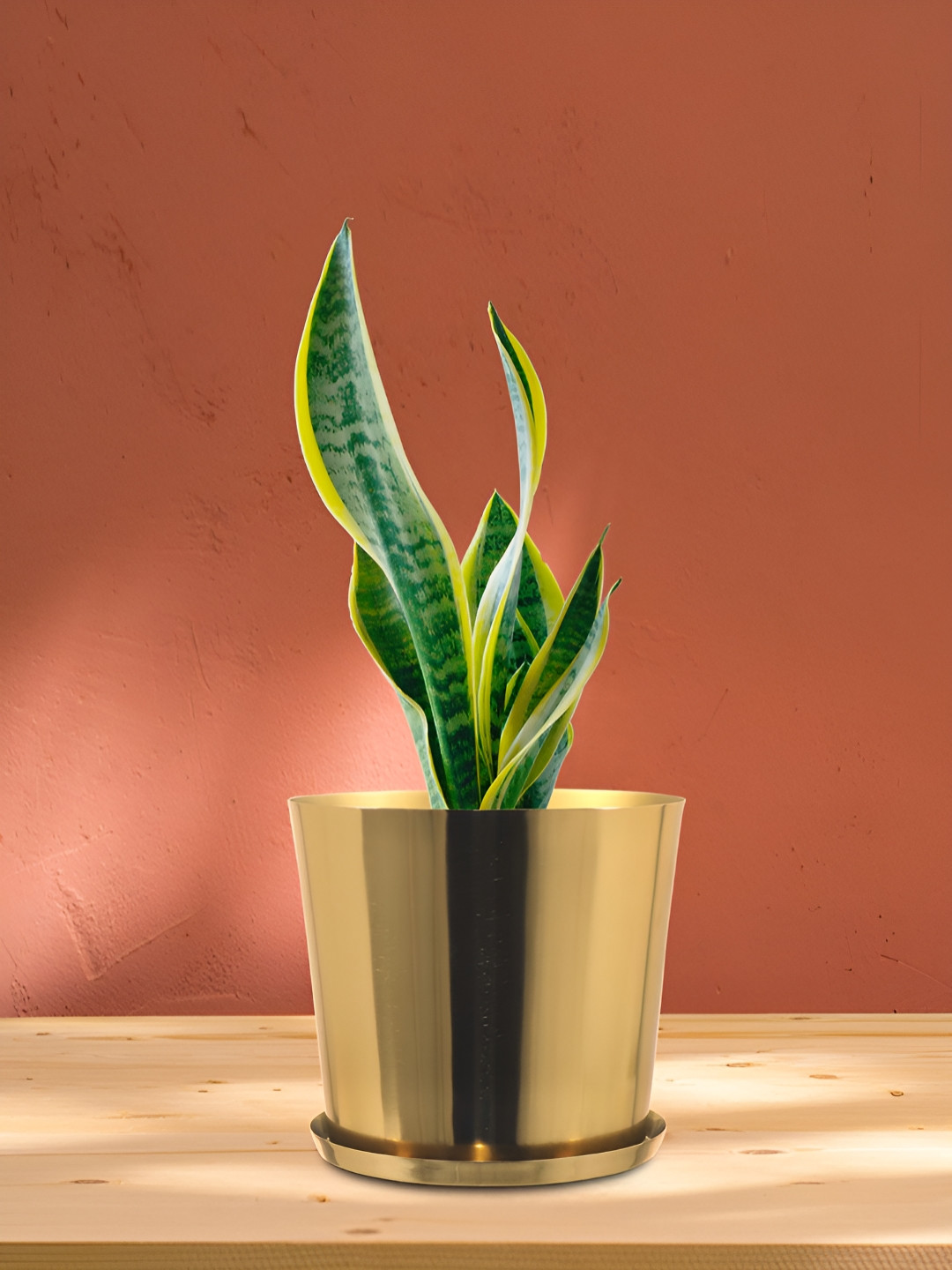 Metalsmith Gold Toned Steel Planter