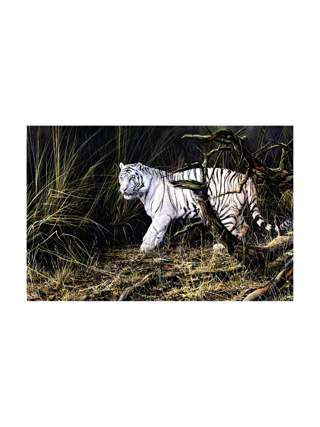 Inephos Tiger Canvas Wall Rectangle Paintings Wall Art - 35.8 x 24.0 In