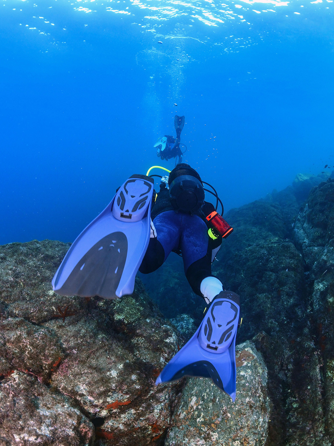 Decathlon SUBEA Adult Black & Blue Scuba Diving Fins