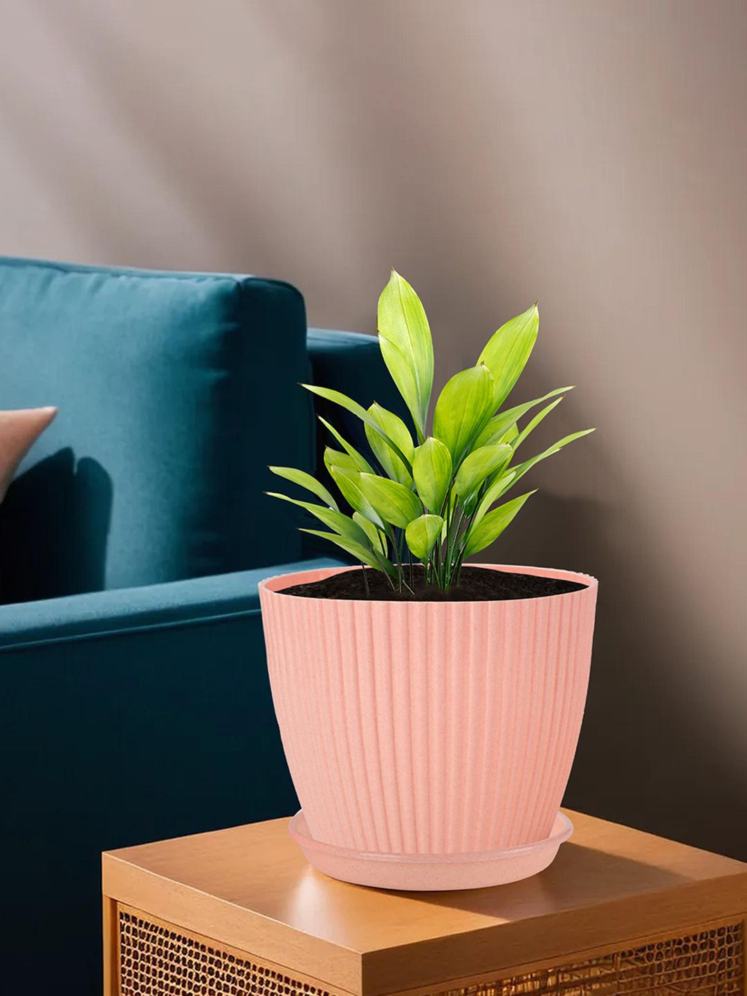 Kuber Industries Peach 3-Pieces Textured Planters with Trays