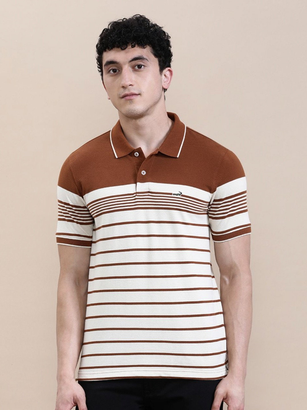 Crocodile Men Slim Fit ENG-Striper T-Shirt