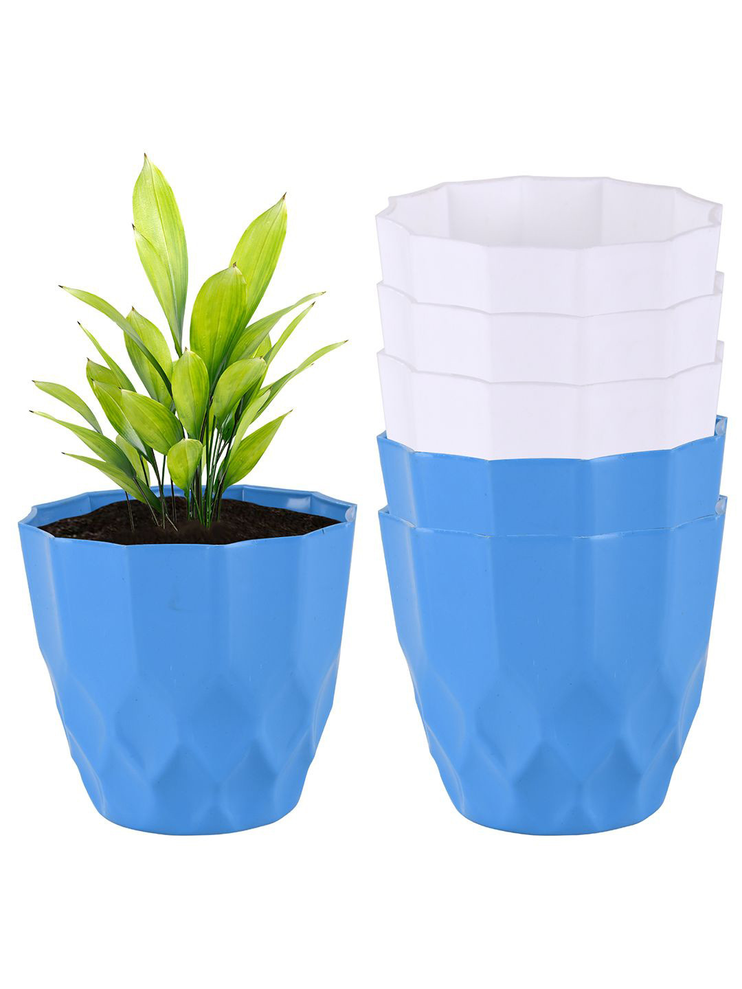 Kuber Industries Blue & White 6 Pieces Barfi Pattern Durable Plastic Planters