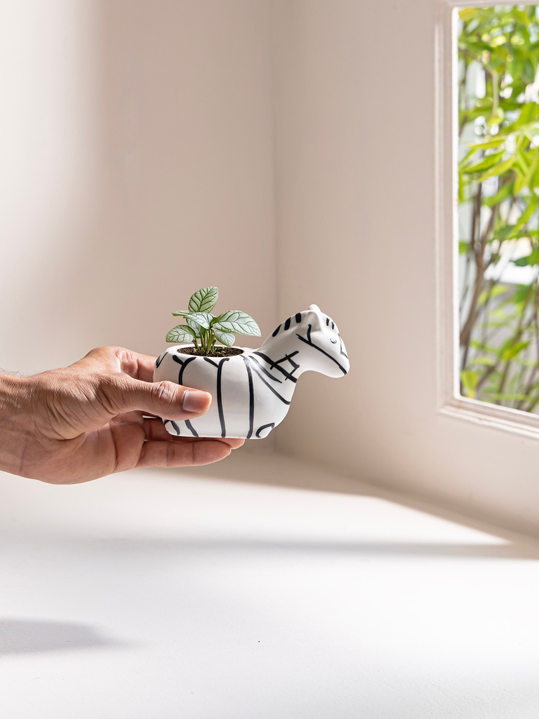 Claymistry White & Black Ceramic Zebra Printed Planter