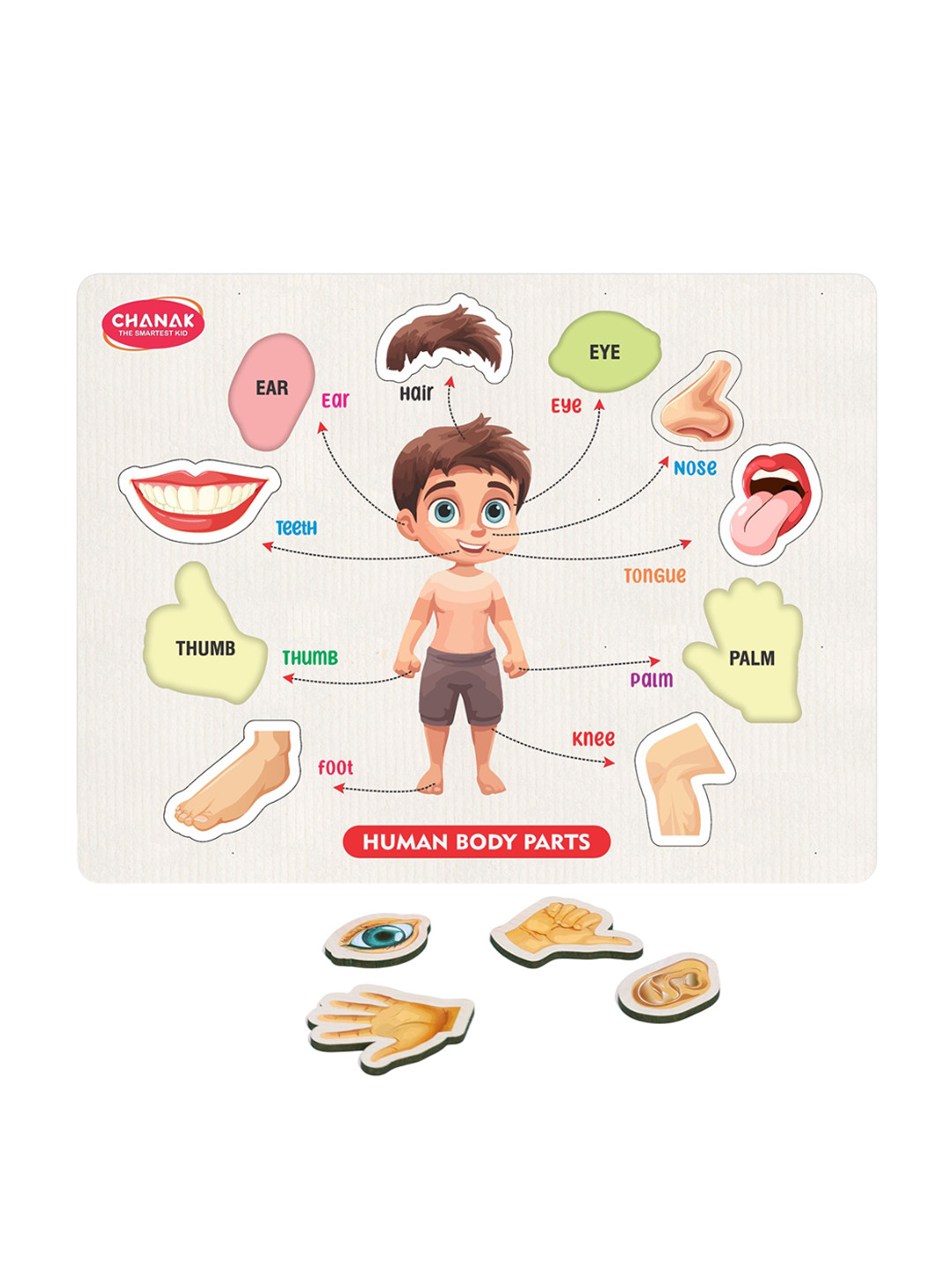 Aditi Toys Puzzles Toy Learning and Development Toys