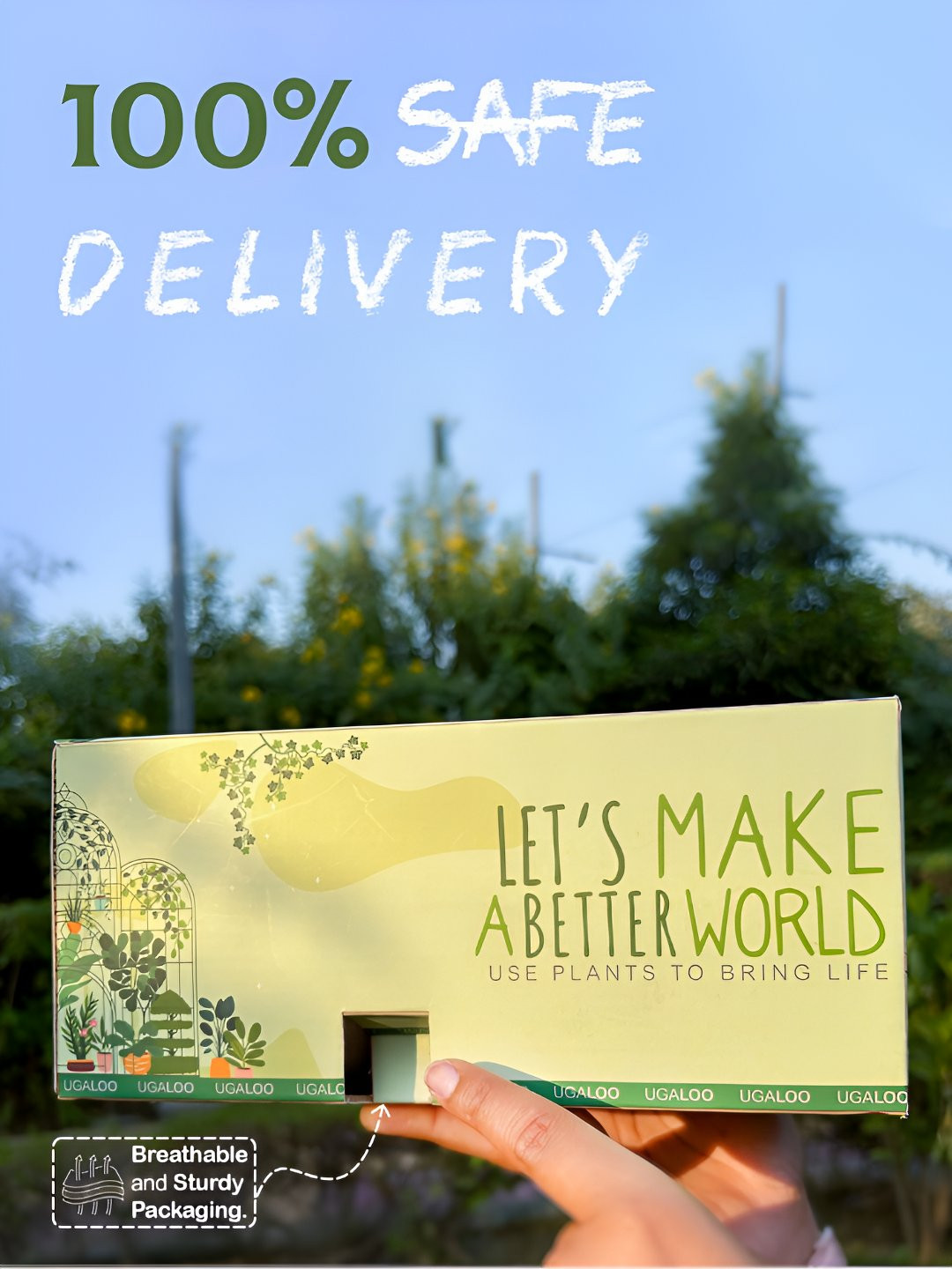 UGALOO Green Succulent Hoya Heart in Heart-shaped With Pot- 10cm