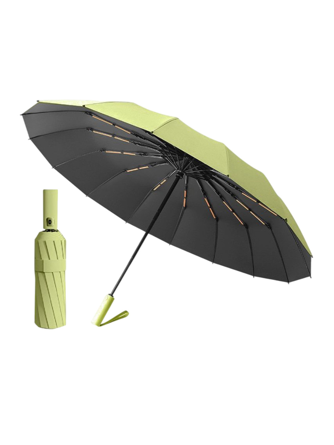 Alexvyan Automatic 2 Fold Sun Rain & UV Protection 12 Rib Umbrellas