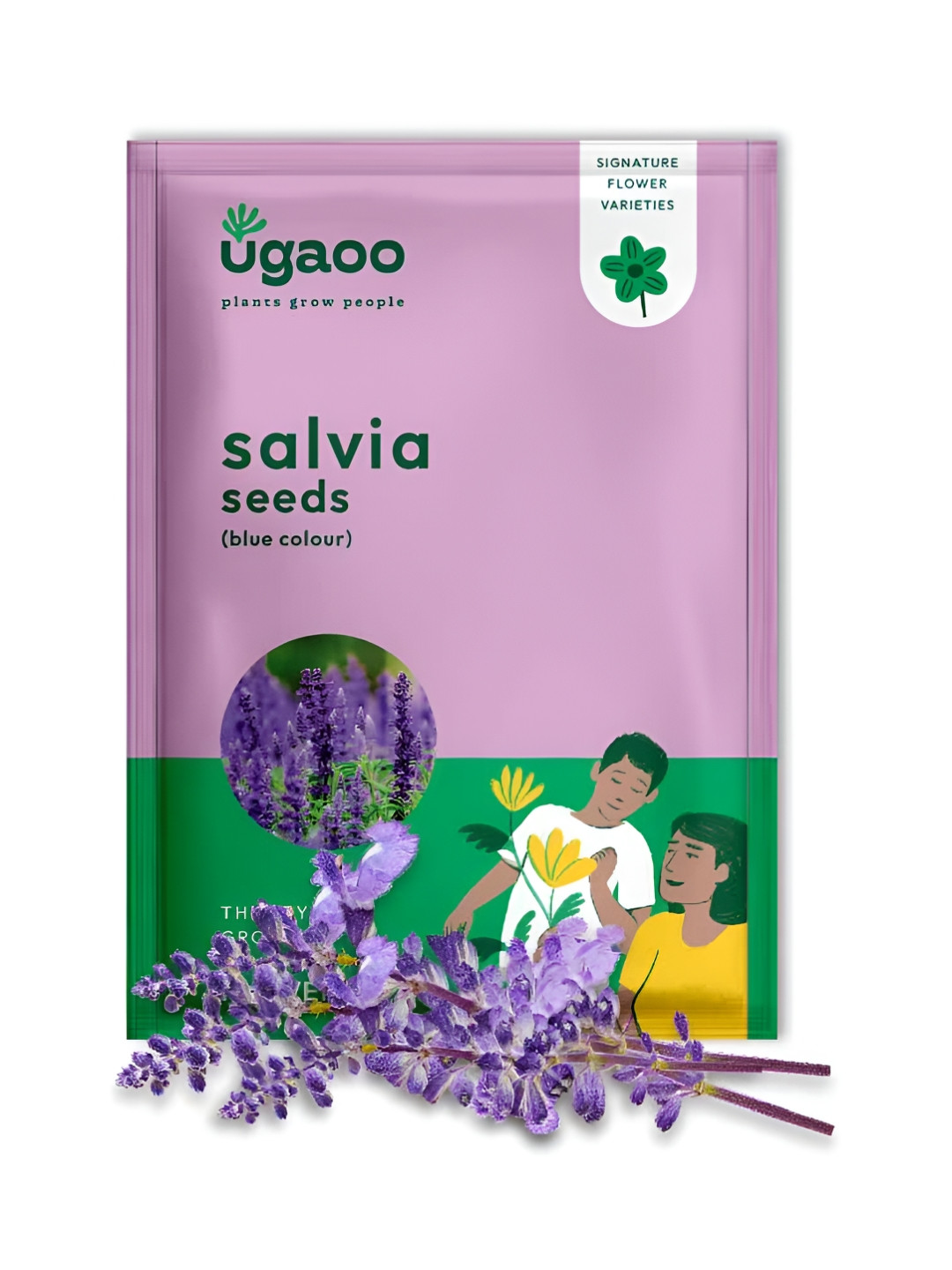 UGAOO Salvia Blue Seeds