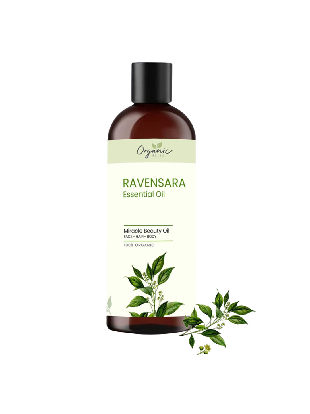 Organic Bliss Ravensara Essential Beauty Massage Oil For Face Hair & Body - 50 ml