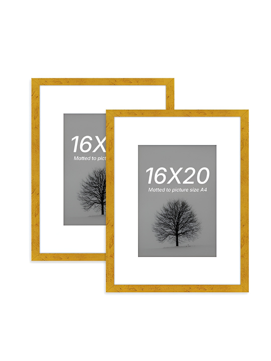 Art Street Gold-Toned and White 2 Pieces Wooden Wall Photo Frames