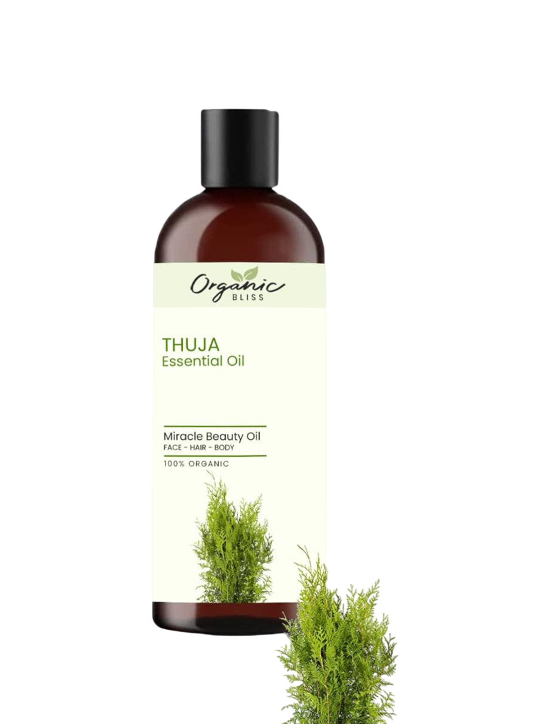 Organic Bliss Thuja Essential Beauty Massage Oil For Face Hair & Body - 50 ml
