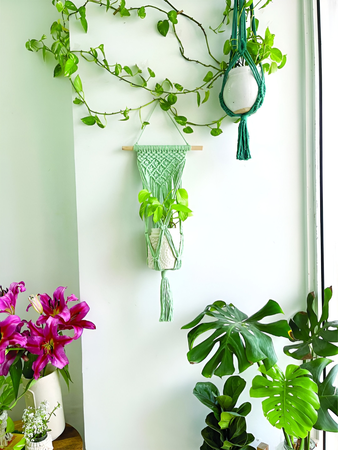 Story of Knots Green Pure Cotton Macrame Wall Hanging Planter