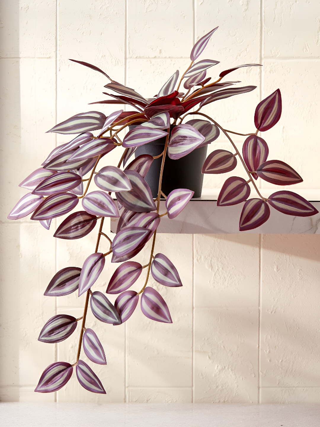 Home Centre Purple & Black Artificial Plant With Pot