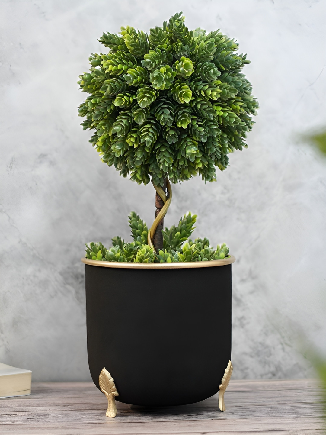 BEHOMA Black & Gold Toned Metal Planter With Leaf Legs