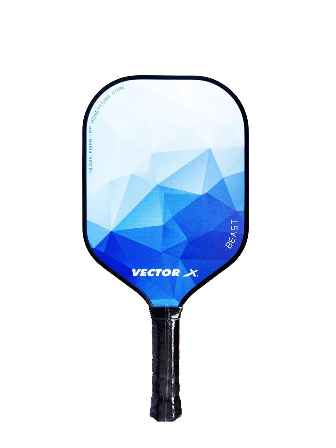 VECTOR X Colorblocked Pickleball Paddle Racquet