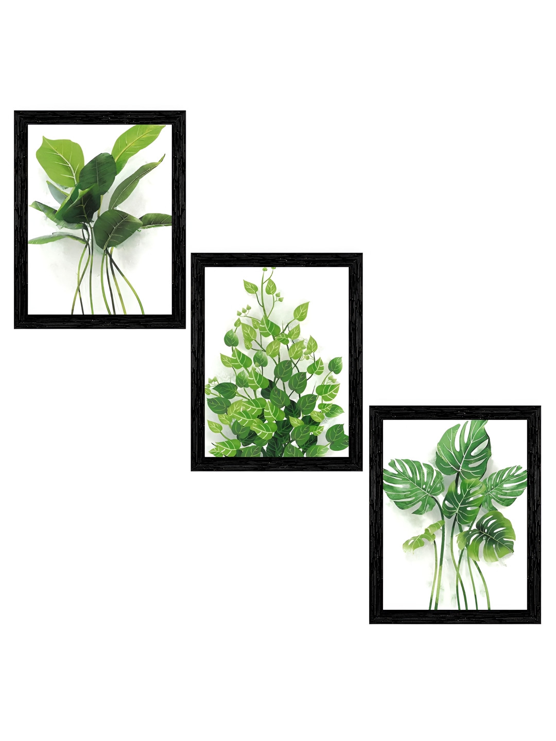 Indianara White & Green 3 Piece Wood Floral and Botanical Wall Paintings