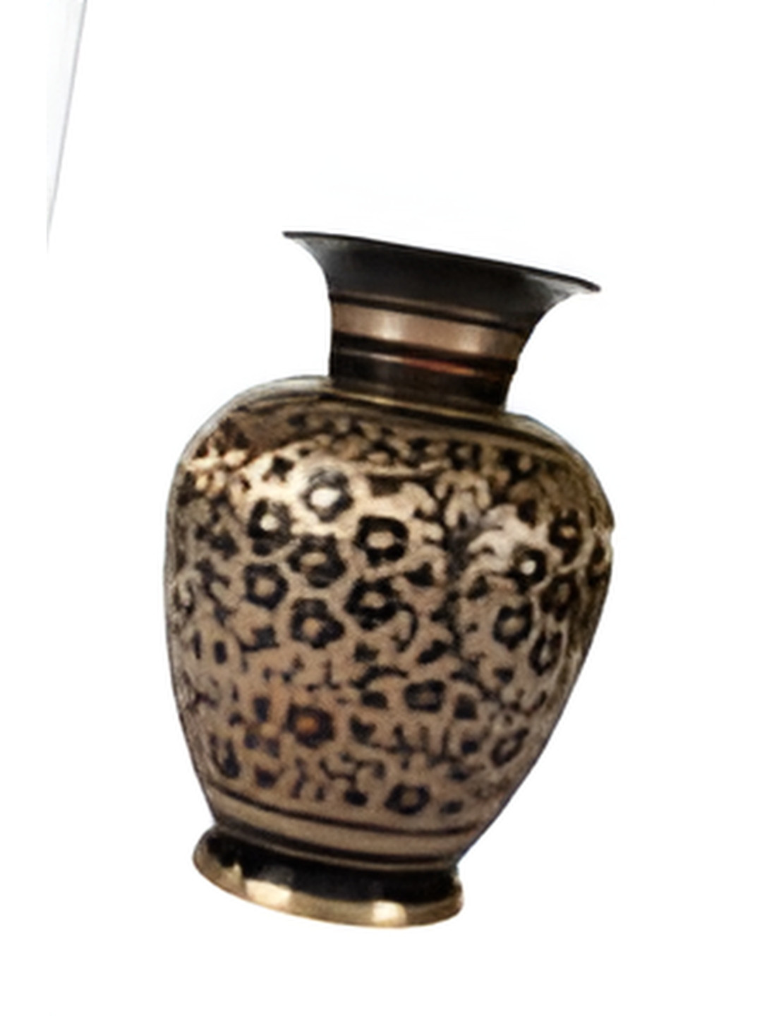 Glori-fyi Black & Gold Printed Vase