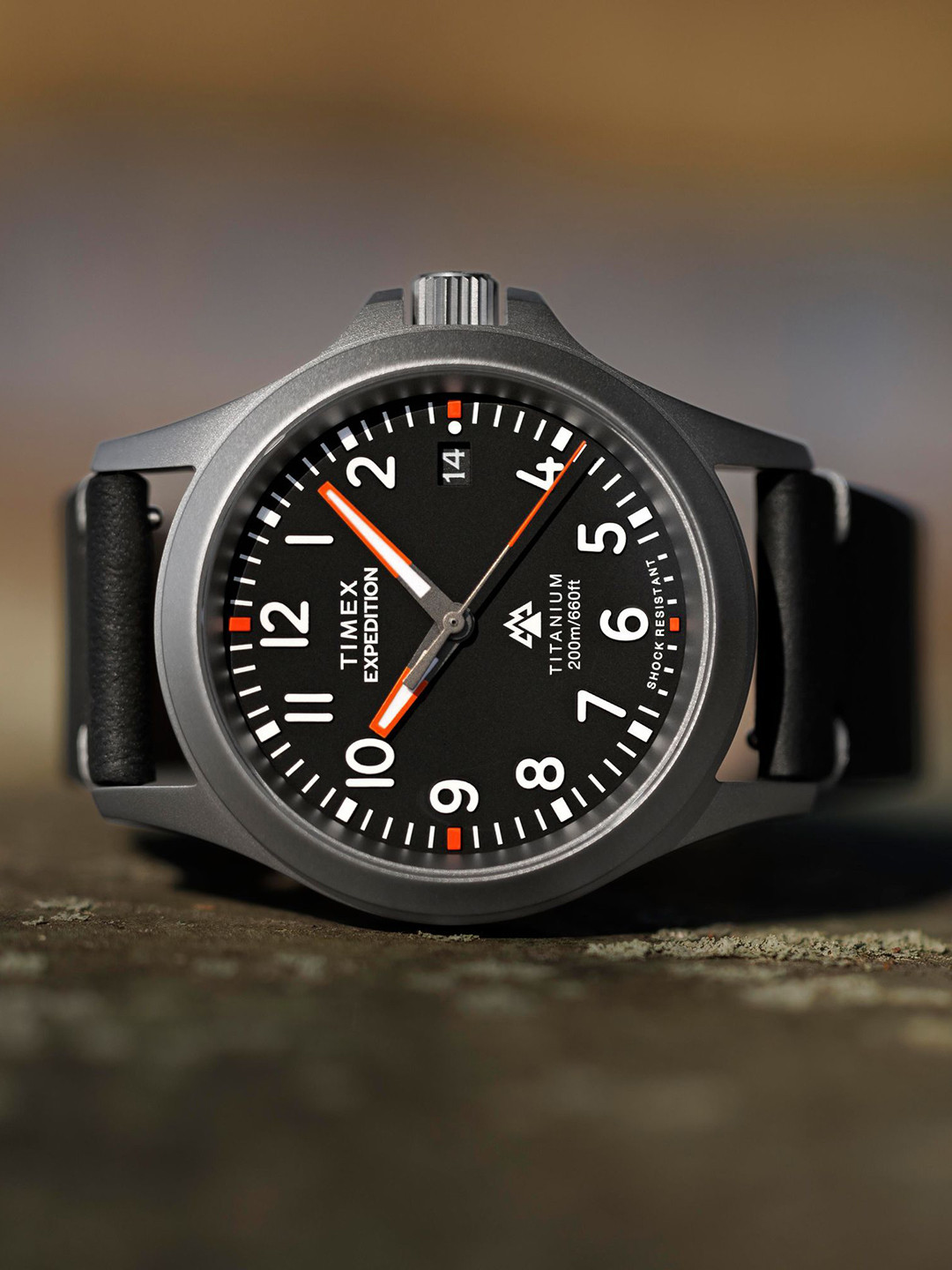 Timex Men Titanium Dial & Straps Analogue Watch TW2W78000UJ