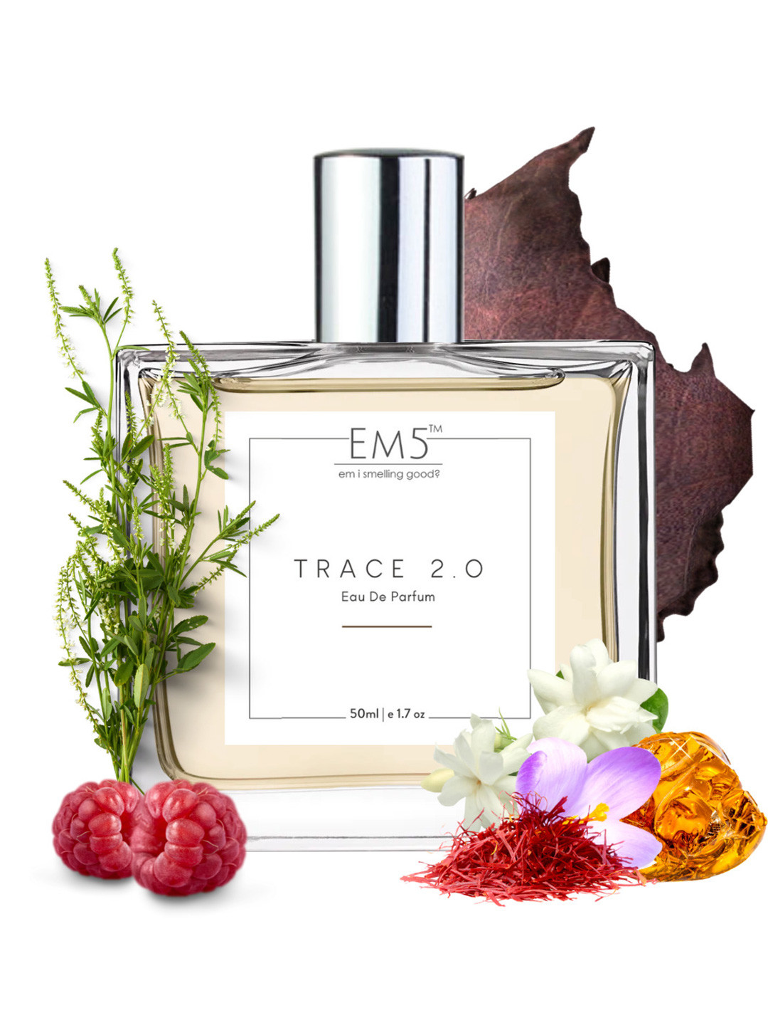 EM5 Trace 2.0 Long Lasting Eau De Parfum - 50 ml
