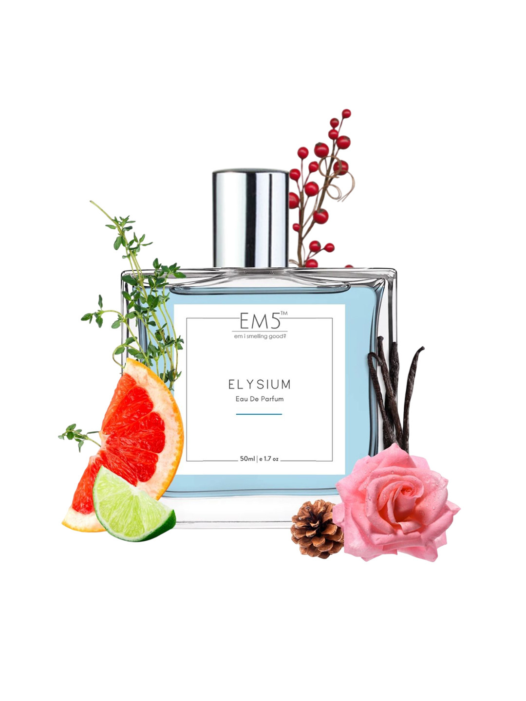 EM5 Men Elysium Long Lasting Eau De Parfum - 50 ml