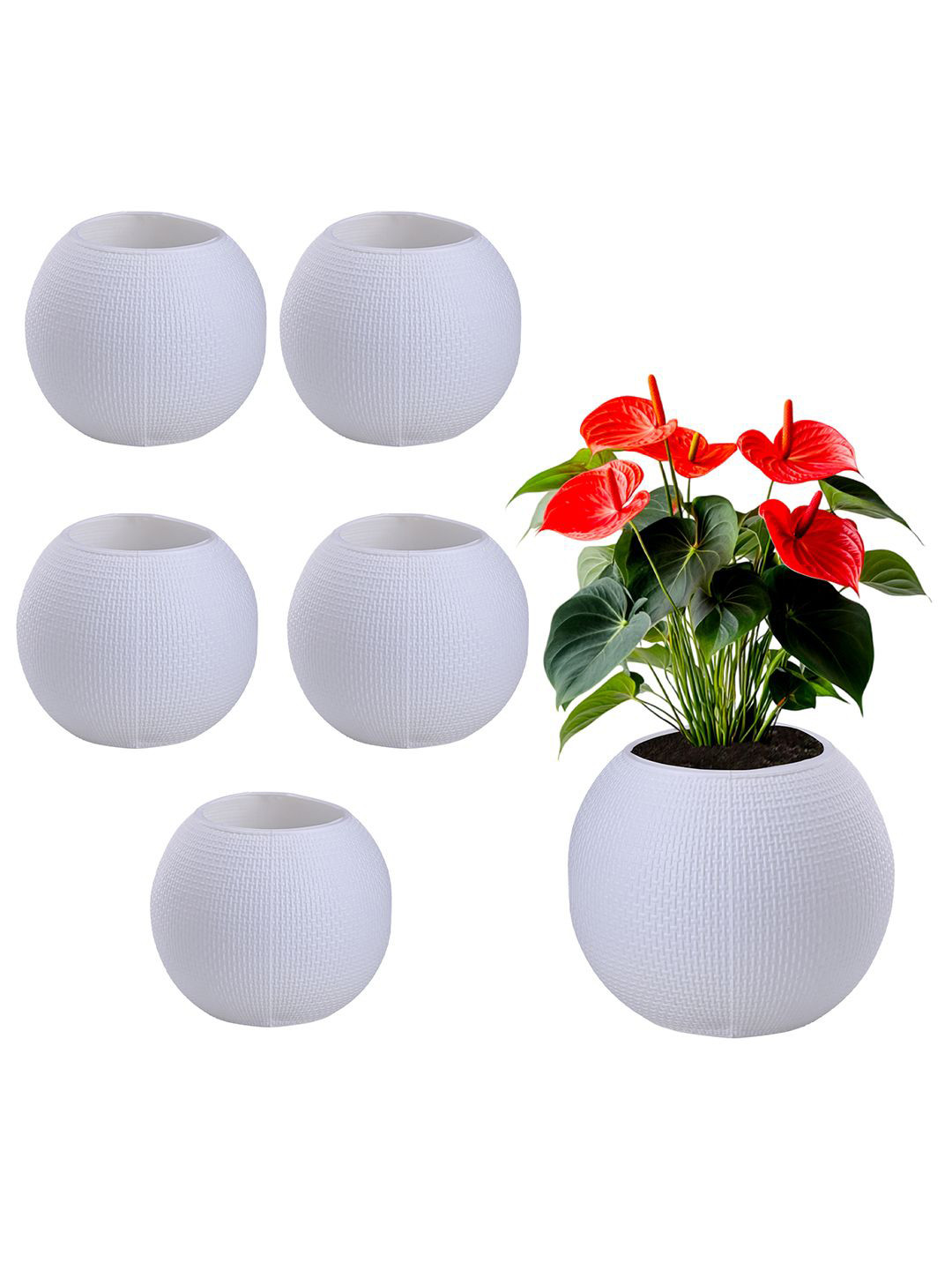 Kuber Industries 6Pcs White Pot Shaped Flower Planters