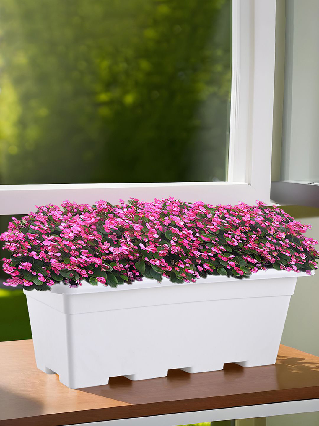 Kuber Industries White Rectangle Shaped Jupiter Gamla Window Planters