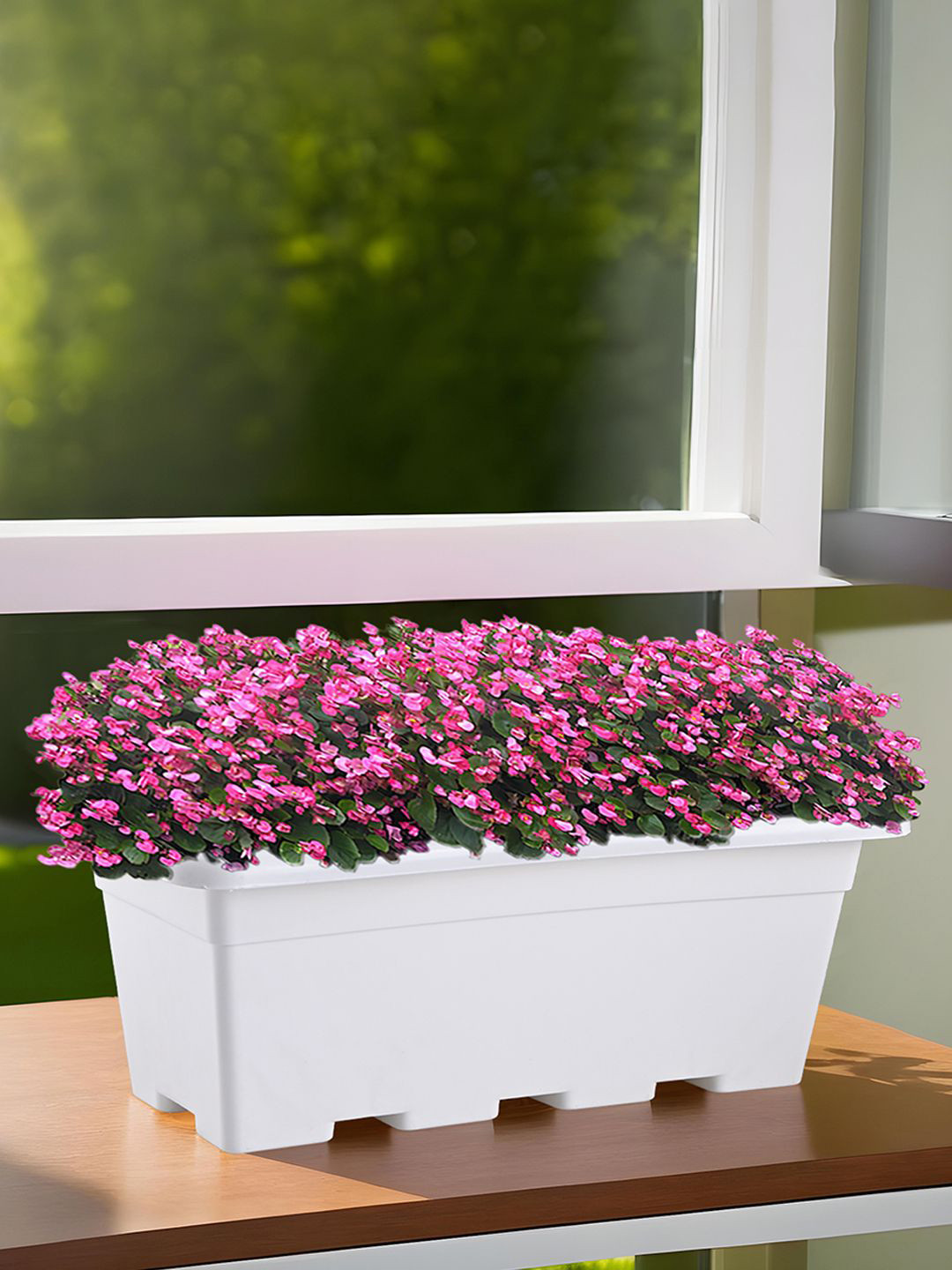 Kuber Industries White Rectangle Shaped  Window Planters