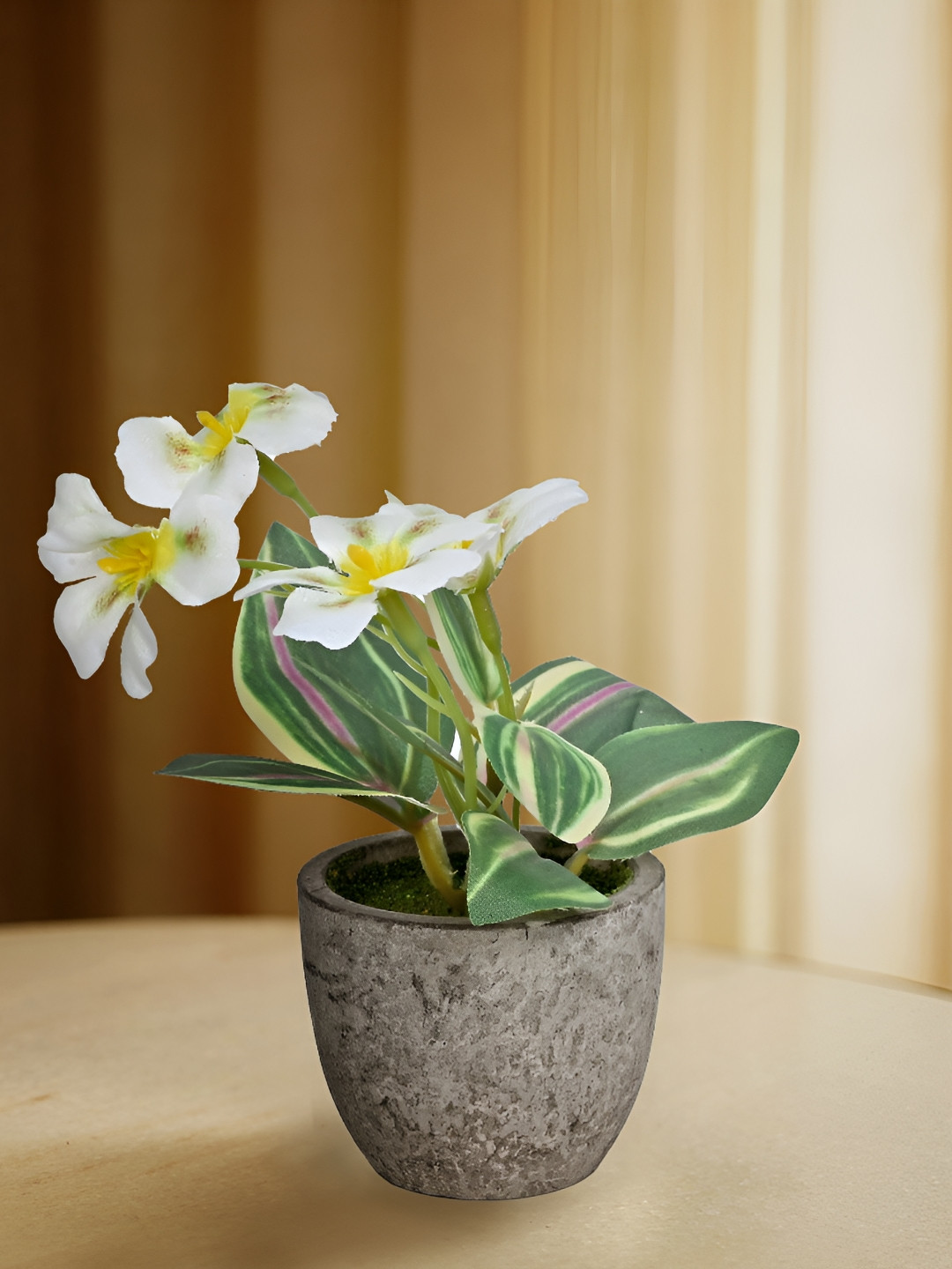 Cortina White And Green Orchid Artificial Flower With Pot