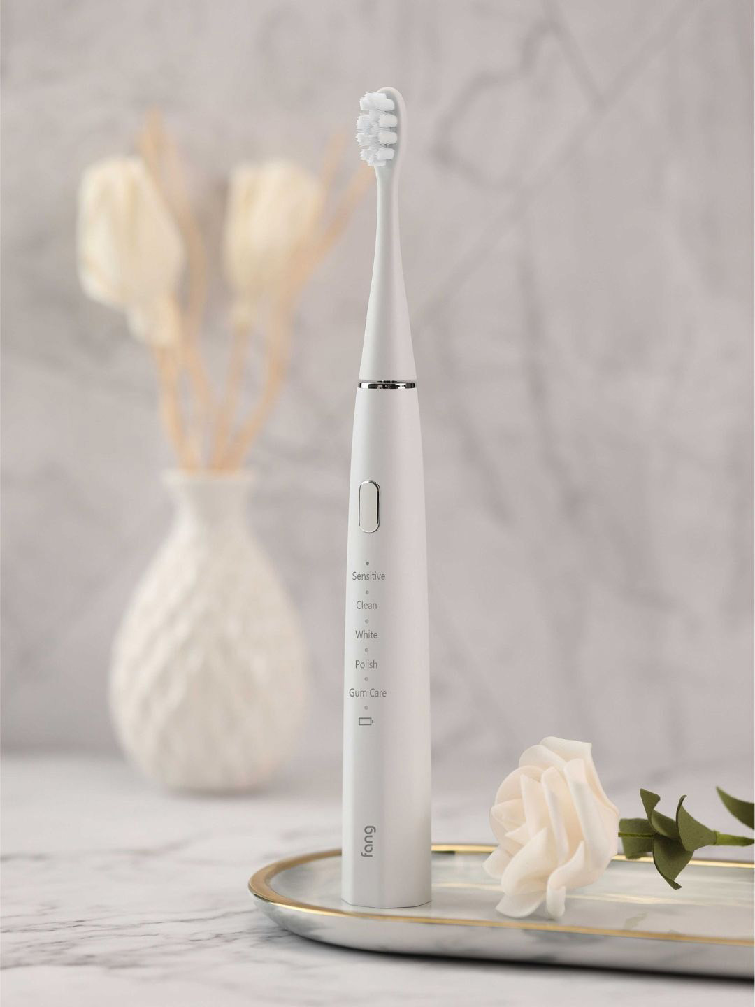 Fang S1 Electric Toothbrush