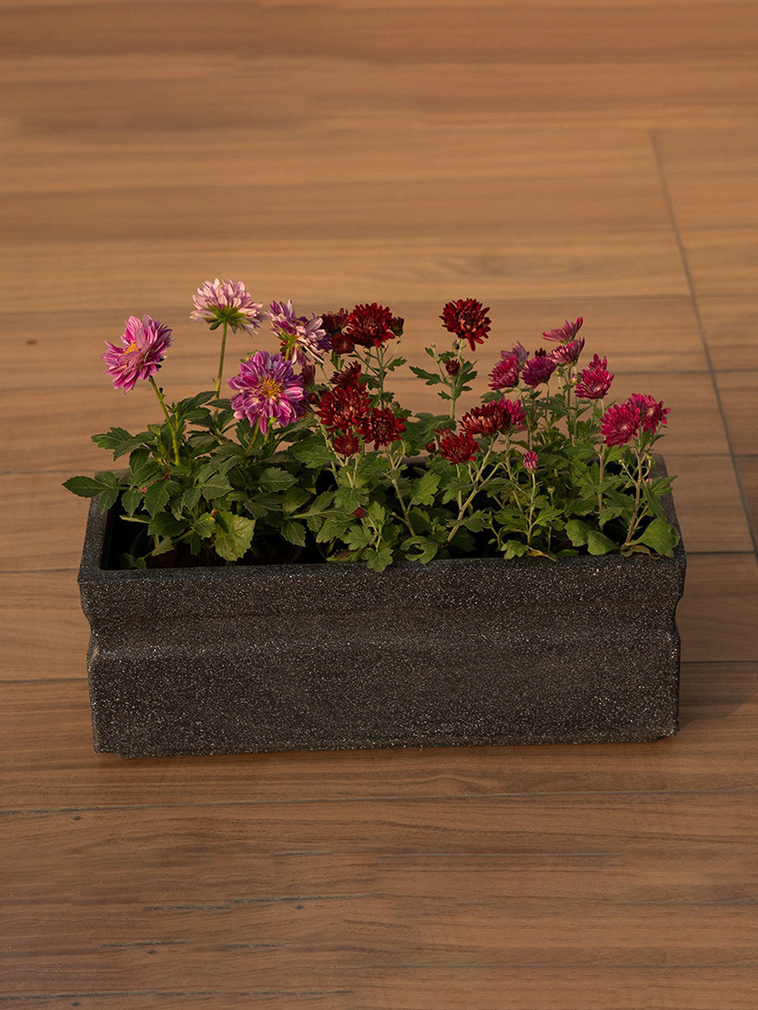 TRUSTBASKET Florahaven Black Textured Fiberglass Rectangular Planter - 53 cm