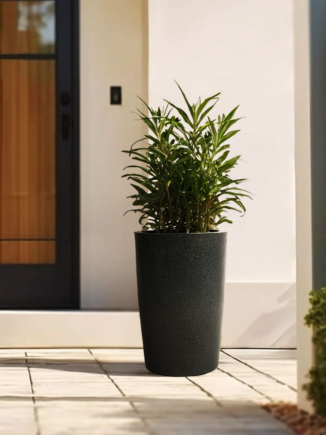 TRUSTBASKET BloomNest Black Printed UV-Resistant Planter