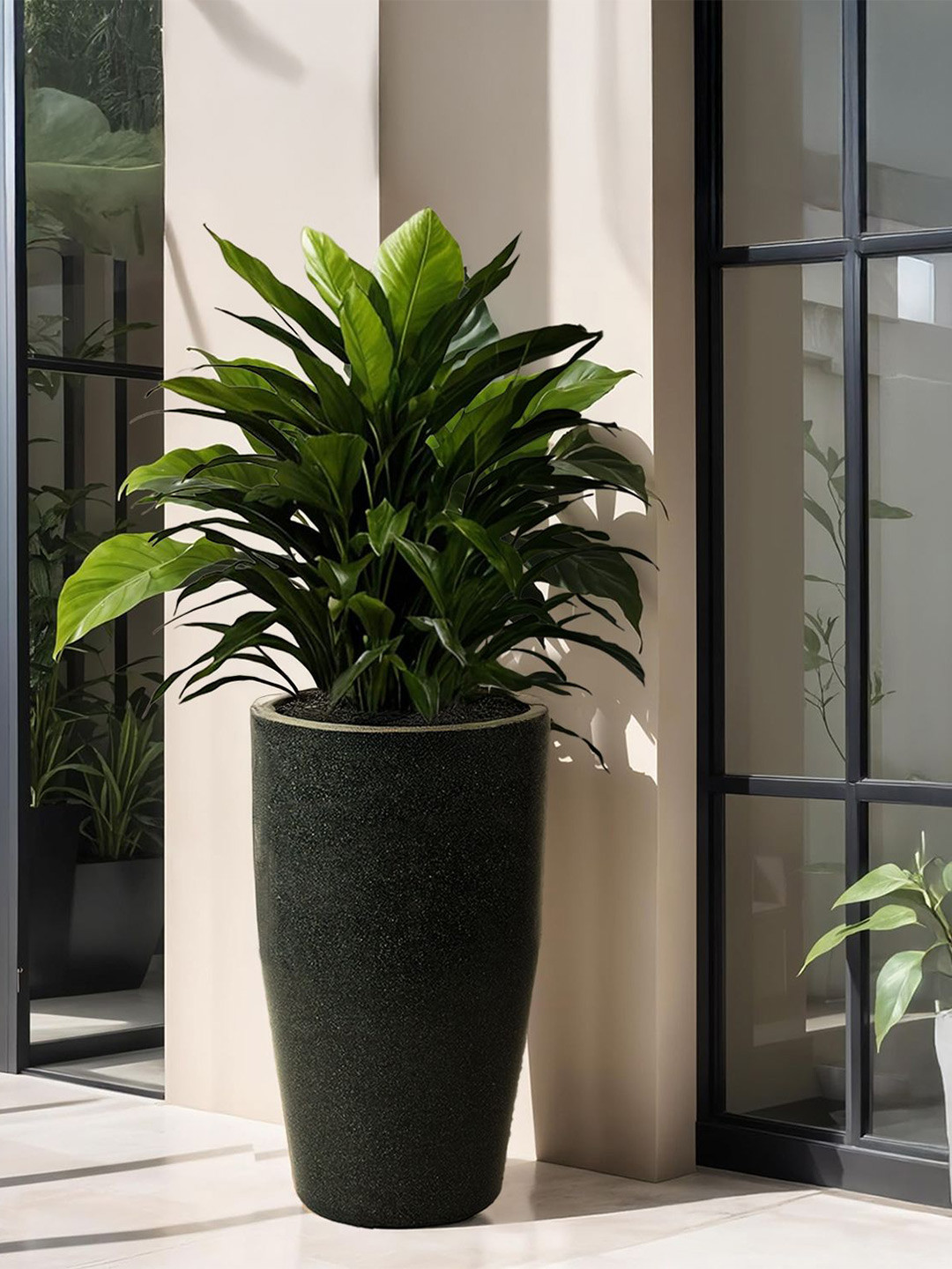 TRUSTBASKET Bloomnest Black Printed Planter