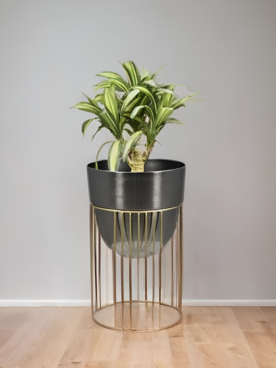 Royaloak Black Floor Planter With Stand