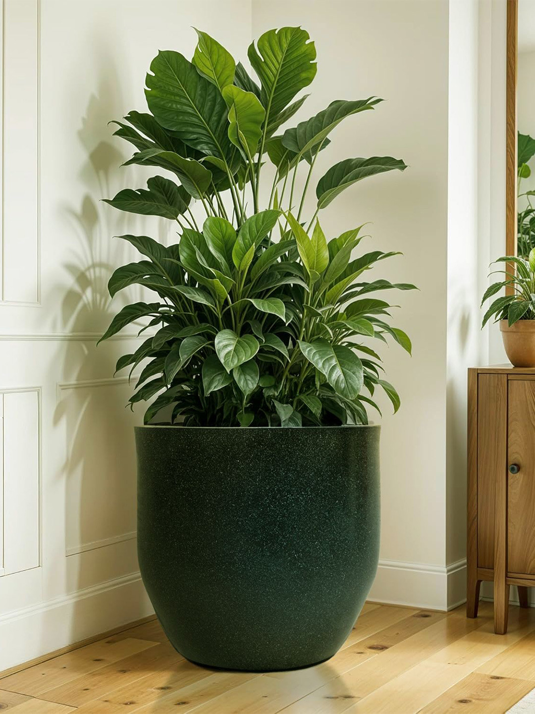 TRUSTBASKET Plantsphere Black Printed Planter