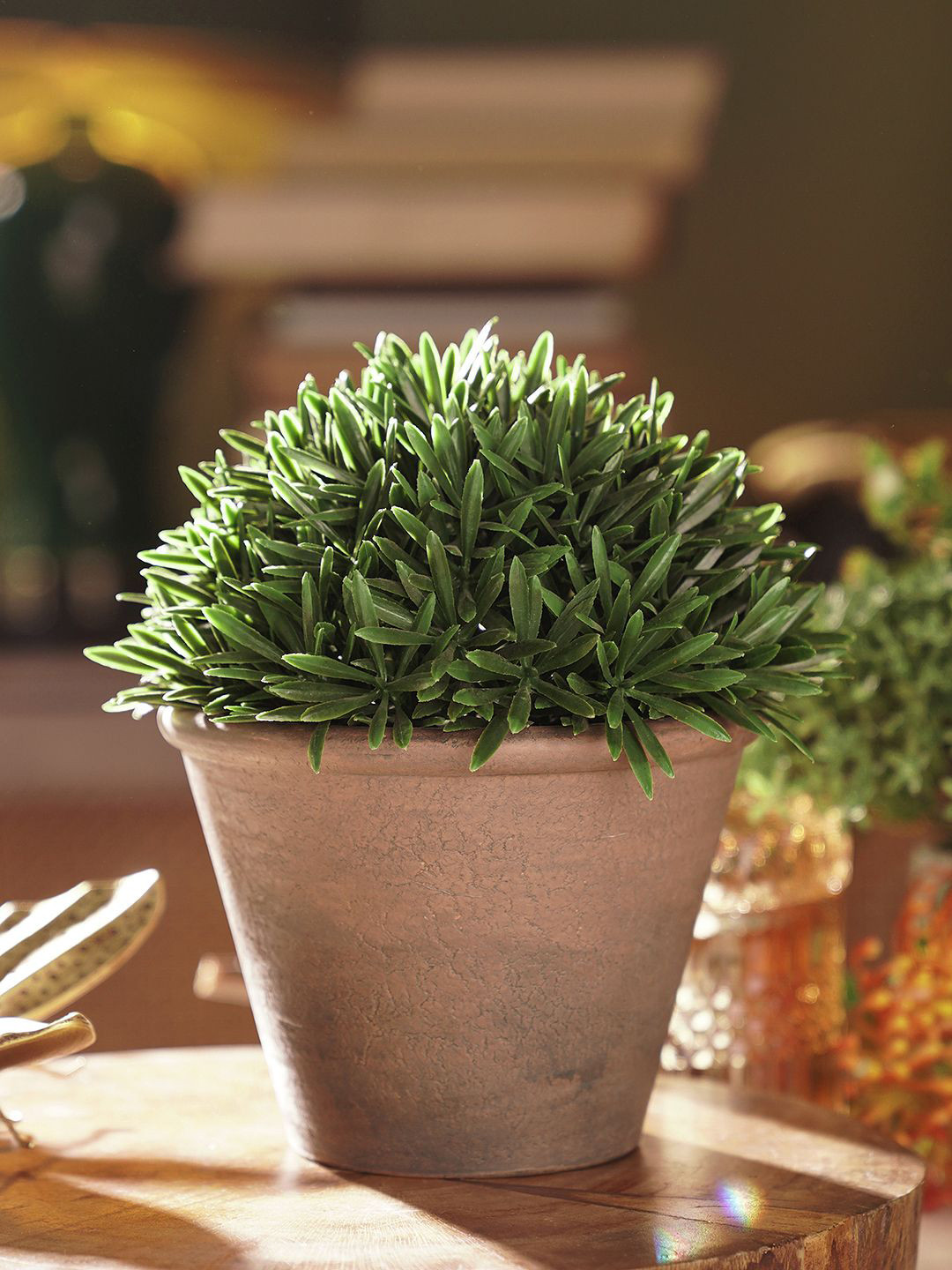 Pure Home and Living Green & Brown Fern Pine Artificial Plant With Cement Pot