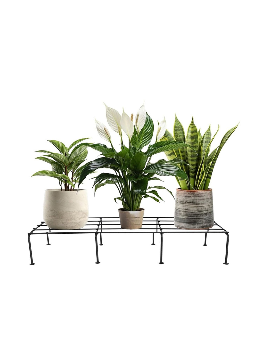 TRUSTBASKET Black 4 Pieces Rectangular Bold Metal Plant Stands